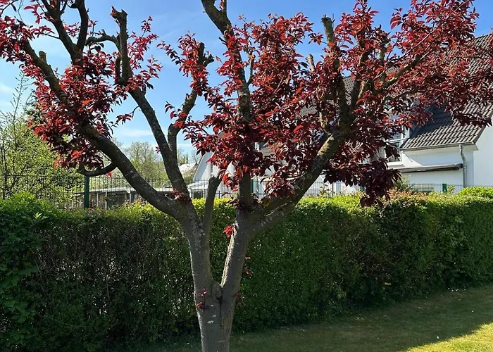 Feuersteinweg Ostseebad Nienhagen